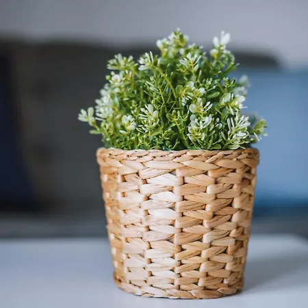 公寓 Biale Piaski *