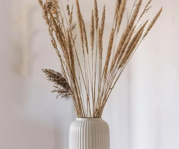 Biale Piaski Lägenhet Jastarnia