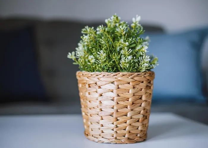 Lägenhet Biale Piaski *